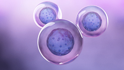 Gene Therapies Targeting Hematopoetic Stem Cells