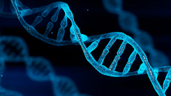 Genetic and Epigenetic Research