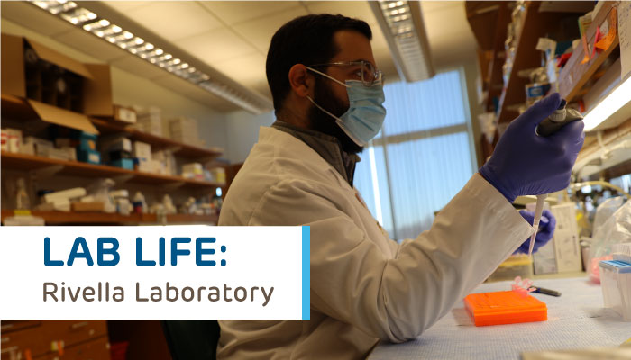 Lab Life Video Series: Rivella Laboratory