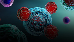 Computational Cancer Immunology