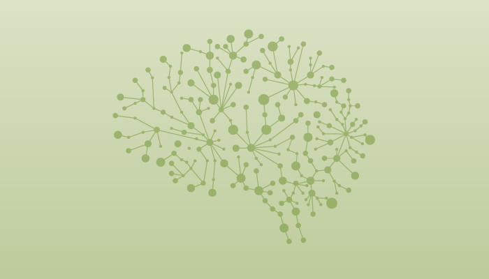 Mapping Cognitive Control Circuits