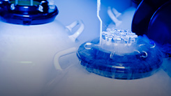 NeoGut: Biobanking for NEC Research