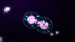 Genetic Drivers in Pediatric Thyroid Cancer