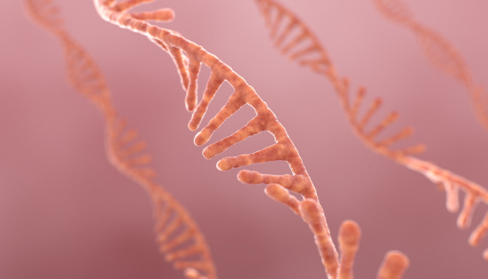 What are the Origins and Implications of irQTLs in Human Tissues? 