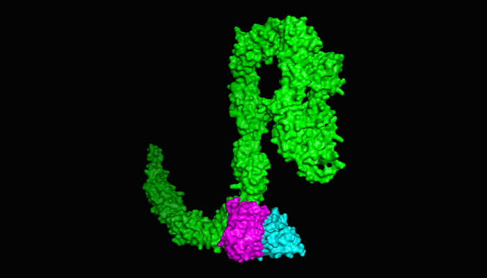 Does Missing RNA Hold the Key to Treating Brain Cancer?