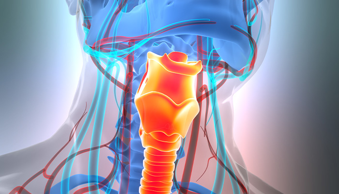 Cartilage Cell Types for Laryngotracheal Reconstruction